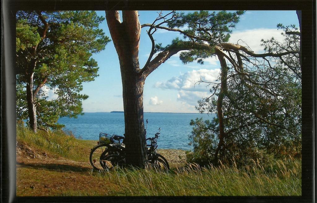 Pension Froehlich Гагер Екстериор снимка